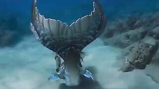 This want  diving and  head this  strange noise