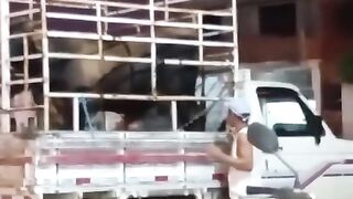 That kick on the face was all that man wanted