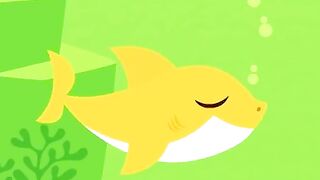 Baby shark ????