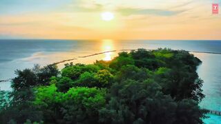 TERI YAAD (Full Video) With Lyrics - Pooja M Suresh - Latest Punjabi Songs 2024