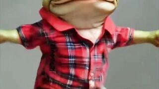 The froggy