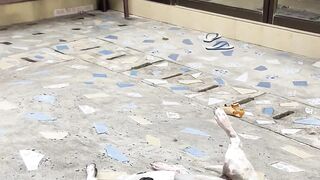 "Happy moments with my dog"