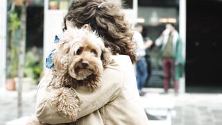 "Happy dog, happy home: a daily explosion of joy".