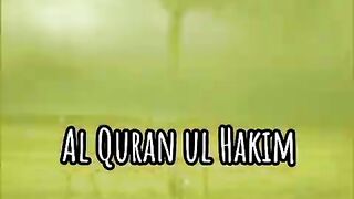 viral Al Quran ayat Urdu translation