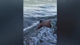????????Best Funny Videos compilation ???? funny peoples life - Fail And Pranks