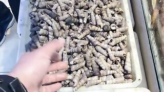 Sell and eating video