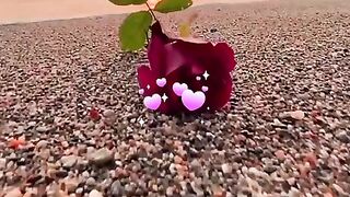 status,status video,status song,status whatsap,beast song,good song,video,songs