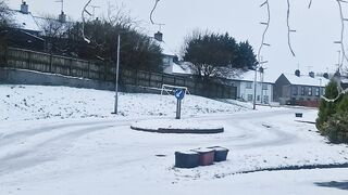 Snow day