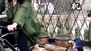 Funny video