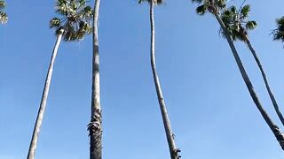 The Ritz Carlton, Bacara - Luxury Resort in Santa Barbara