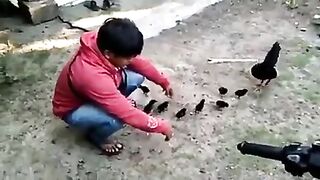 kidnaps a chick and ends up being chased by its mother