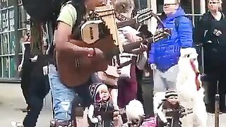 Music party