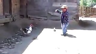 tame duck