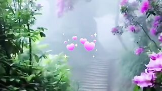status,status video,status song,status whatsap,beast song,good song,video,songs