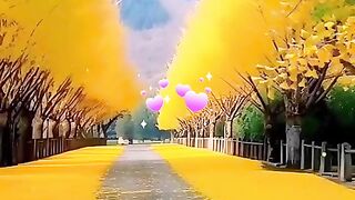 status,status video,status song,status whatsap,beast song,good song,video,songs