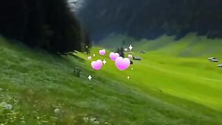 status,status video,status song,status whatsap,beast song,good song,video,songs