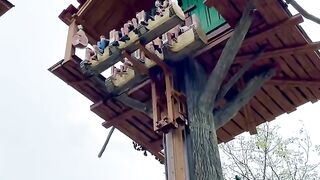 It is a very beautiful swing It is a very beautiful swing