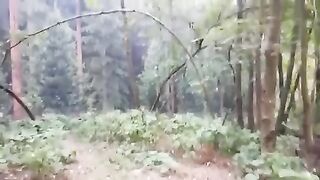 of a wall