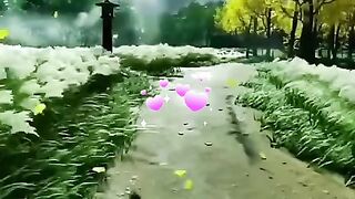 status,status video,status song,status whatsap,beast song,good song,video,songs