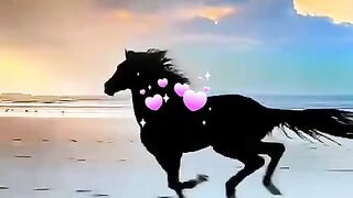 status,status video,status song,status whatsap,beast song,good song,video,songs