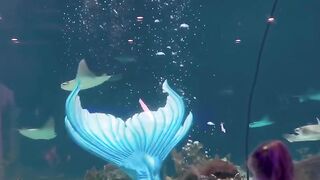 mermaid