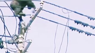 Gorilla climbing on electric pole