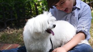 "The joy and happiness of a dog: an adorable video not to be missed!"