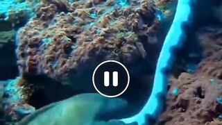 اعماق البحار