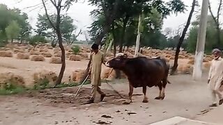 My vlog