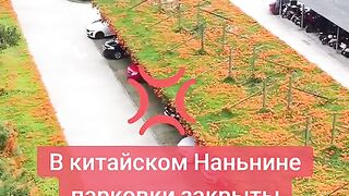 МЕСТАТА ЗА ПАРКИРАНЕ В КИТАЙ ПОКРИХА С ЗЕЛЕН ПОКРИВ
