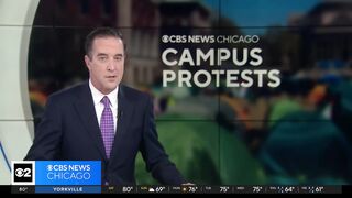 Pro-Palestinian protesters clash with police in downtown Chicago