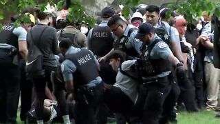 68 arrested at Pro-Palestinian protest outside Art Institute of Chicago, police say