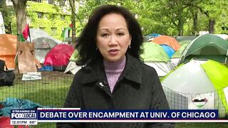 University of Chicago faculty voice support for Pro-Palestine student encampments