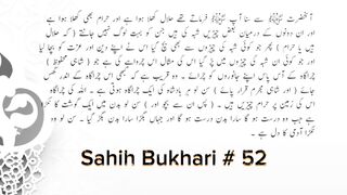 Sahih Bukhari # 52