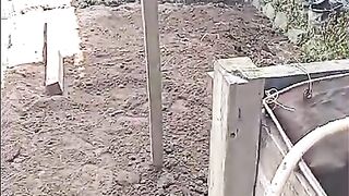 Alur budidaya sudah ketemu pasti tambah kolam