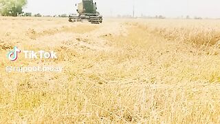 Harvest