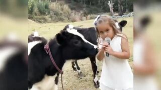 Funny ANIMAL videos????Funniest CATS???? DOGS???? and BIRDS