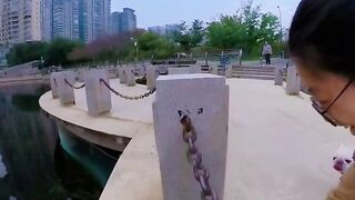 Amazing Skills dogs woow????????