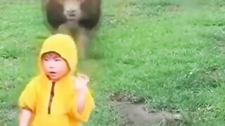 You have to see this Animals that attack people