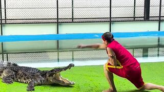 This man put his hand inside crocodile mouth