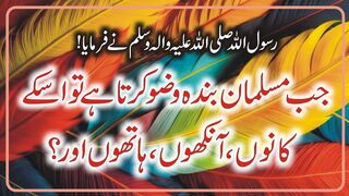 Rasool Allah (S.A.W) Ny Farmaya Jab Musalman Banda Wazu Karta Hay Tu Uskay  Info Real