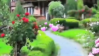 status,status video,status song,status whatsap,beast song,good song,video,songs