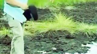 Most funny video