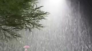 status,status video,status song,status whatsap,beast song,good song,video,songs