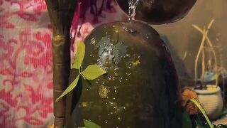 ???????????????? ???????????????????????????? .......#mahadev #shiva #mahakal #harharmahadev