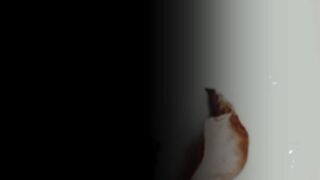 qoets