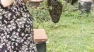 خلية النحل روووعه