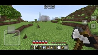 Minecraft Save Allay from Pillagers ????