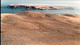 Information World - Animal life on earth_animal _viewers _animallover _public _viral