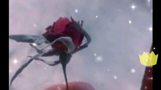 Heart touching poetry